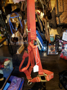 Red Small Horse Halter