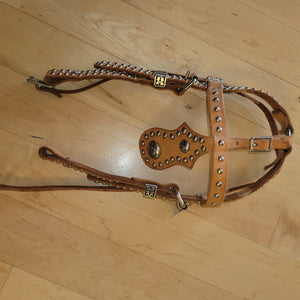 Mini Headstall with Spots and Faceplate by Re-Ride Horse Tack